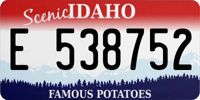 ID license plate E538752