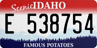 ID license plate E538754