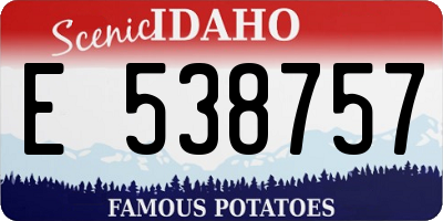 ID license plate E538757
