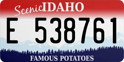 ID license plate E538761