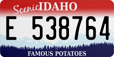 ID license plate E538764
