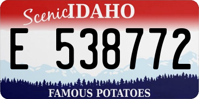 ID license plate E538772
