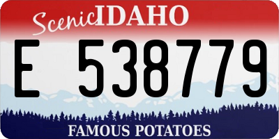 ID license plate E538779