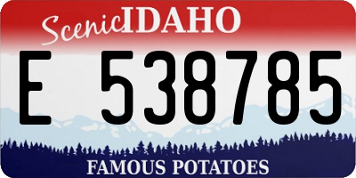 ID license plate E538785