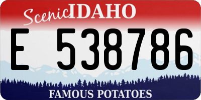 ID license plate E538786