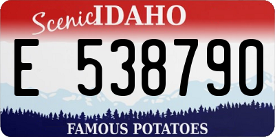 ID license plate E538790