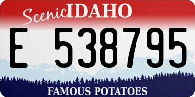 ID license plate E538795