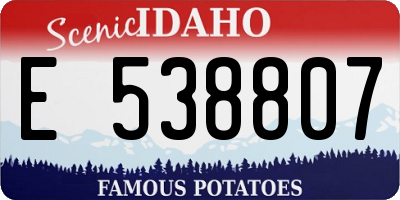 ID license plate E538807
