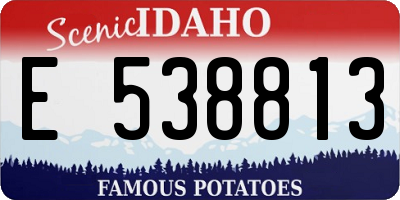 ID license plate E538813