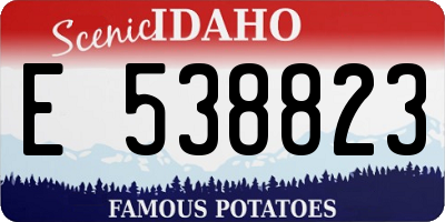 ID license plate E538823