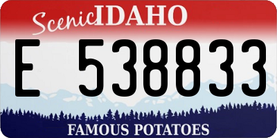 ID license plate E538833
