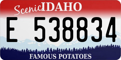 ID license plate E538834