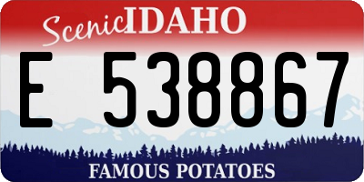 ID license plate E538867