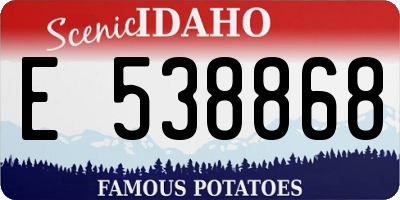 ID license plate E538868