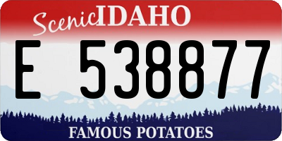 ID license plate E538877