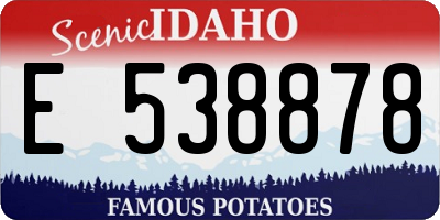 ID license plate E538878