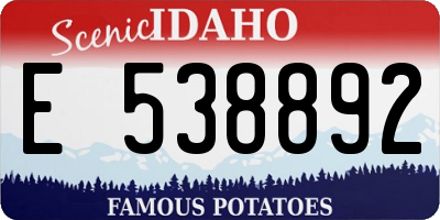 ID license plate E538892