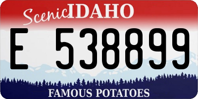 ID license plate E538899