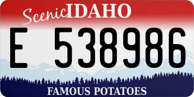 ID license plate E538986