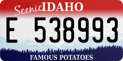 ID license plate E538993