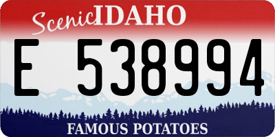 ID license plate E538994