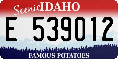 ID license plate E539012