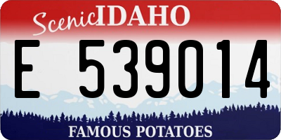 ID license plate E539014