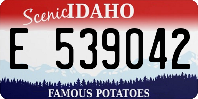 ID license plate E539042