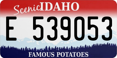 ID license plate E539053