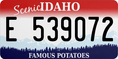 ID license plate E539072