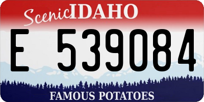 ID license plate E539084