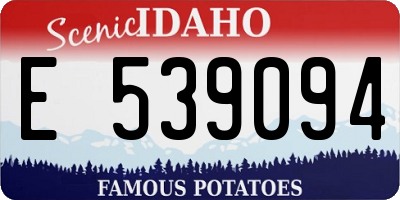 ID license plate E539094
