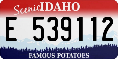 ID license plate E539112