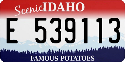 ID license plate E539113