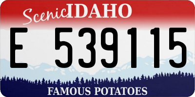 ID license plate E539115