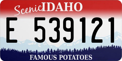 ID license plate E539121