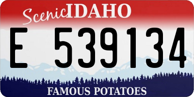 ID license plate E539134
