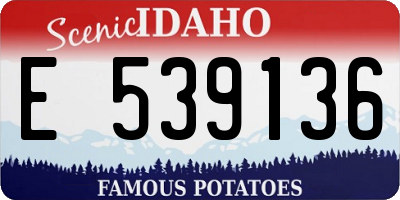 ID license plate E539136