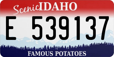 ID license plate E539137