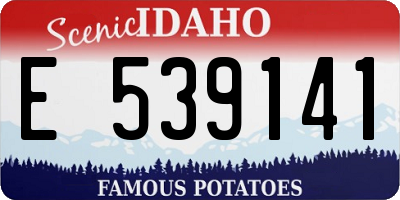ID license plate E539141