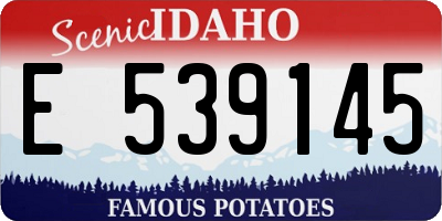 ID license plate E539145