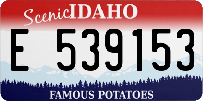 ID license plate E539153