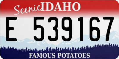 ID license plate E539167