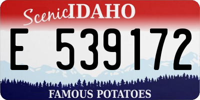 ID license plate E539172