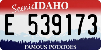 ID license plate E539173