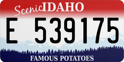 ID license plate E539175