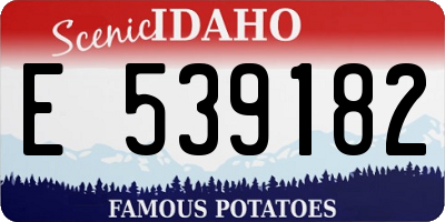 ID license plate E539182