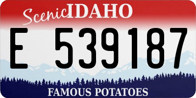 ID license plate E539187