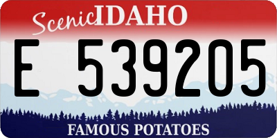ID license plate E539205