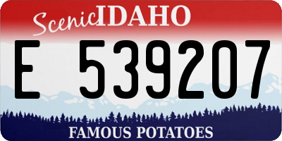 ID license plate E539207